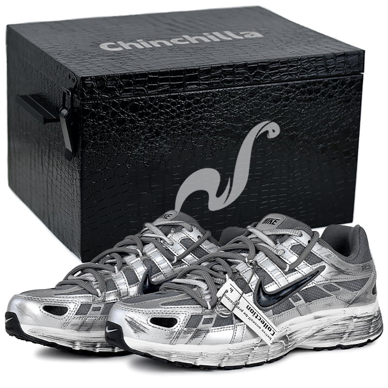 Nike P 6000 Cushioning, Wear Resistant Low Top Casual City Commute Running Shoes Unisex Silver