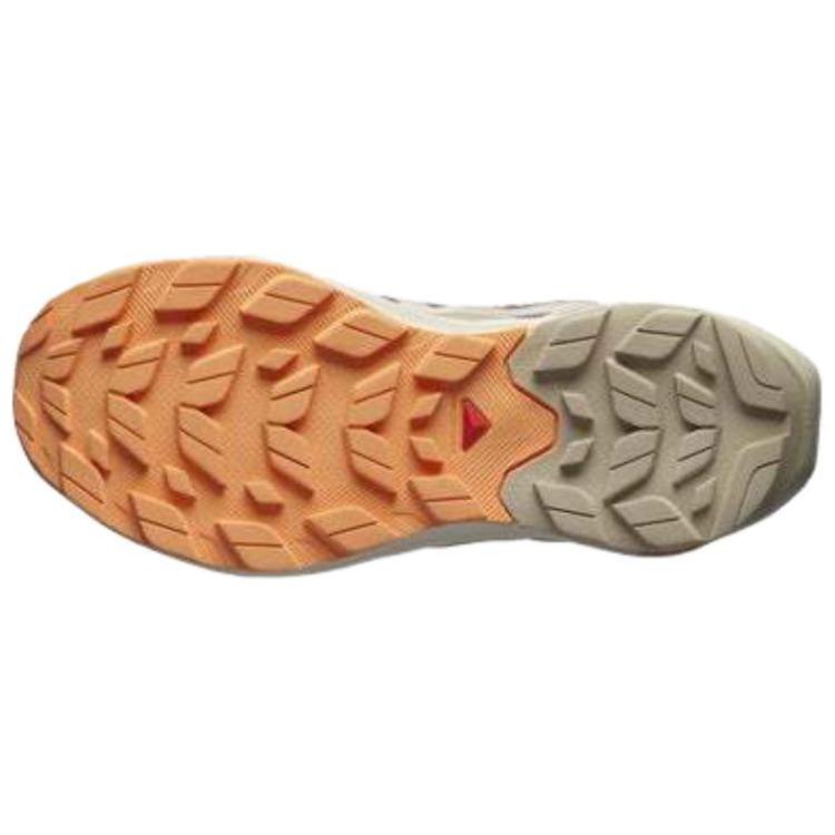 SALOMON Women's Elixir Activ GORE TEX 'Falcon Papaya' Women's
