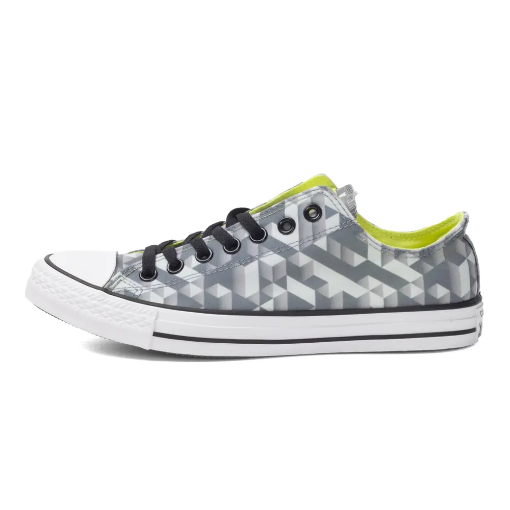 Converse CHUCK TAYLOR Low Top Canvas Shoes Unisex Gray