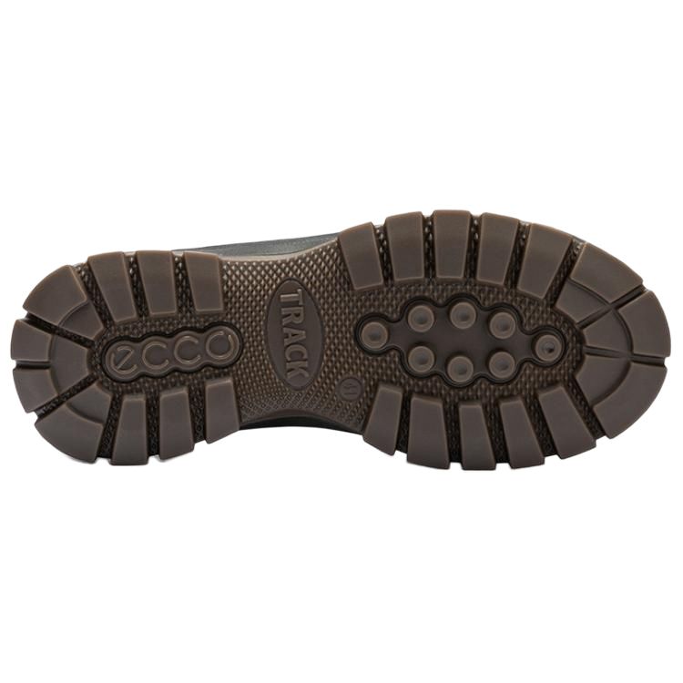 Ecco Trace 30 Low-Top Casual Shoes Men's Brown