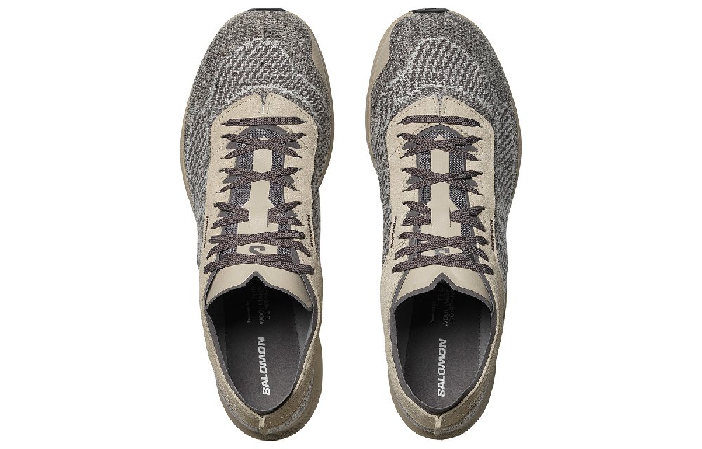 SALOMON Pulsar Prg Knit 'Gray Brown'