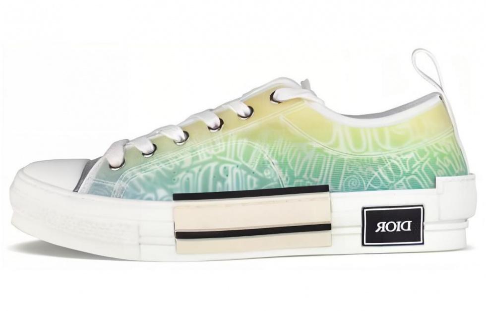 DIOR And Shawn B23 Low Top