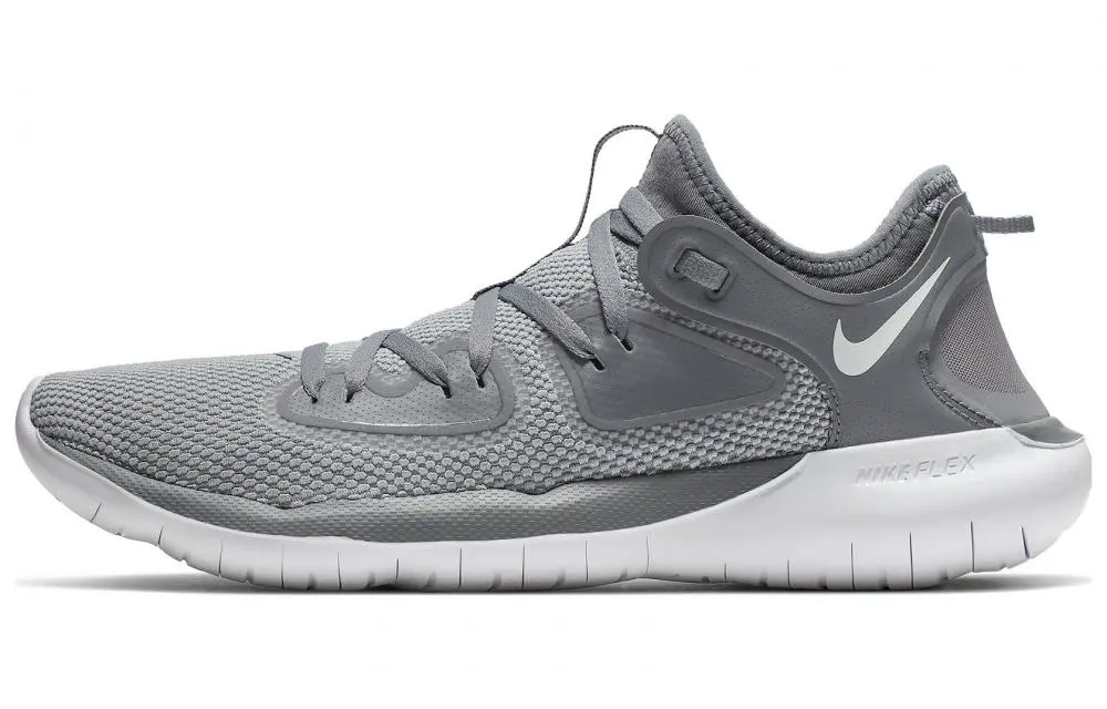 Nike Flex 2019 Rn 'Grey'