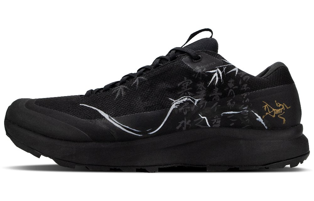 Arcteryx Aerios Fl 2 Durable Breathable Low-Top Outdoor Shoes Unisex Black
