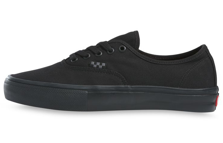 Vans Skate Authentic 'Triple Black'