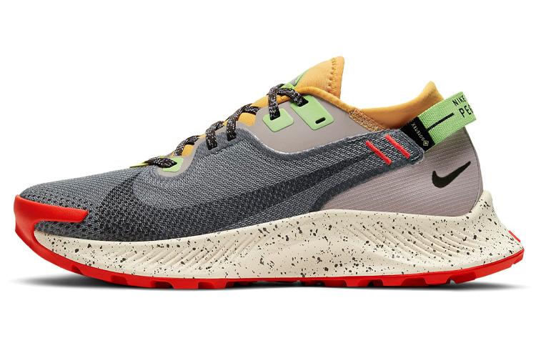 Nike Pegasus Trail 2 Gore Tex Smoke Grey Bucktan Women's