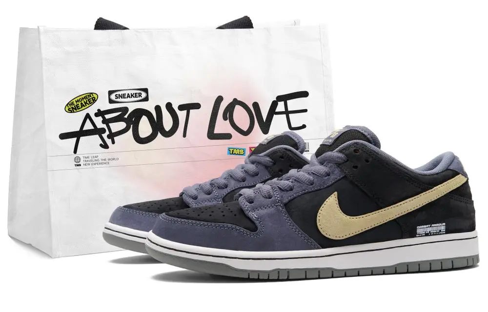 Nike Dunk SB Thorn 4.0 Low top Skateboard Shoes Unisex Blue Black