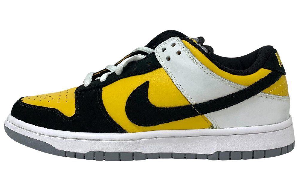 Nike Sb Dunk Low Bic