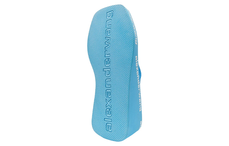 Alexander Wang Flip Flops Women's