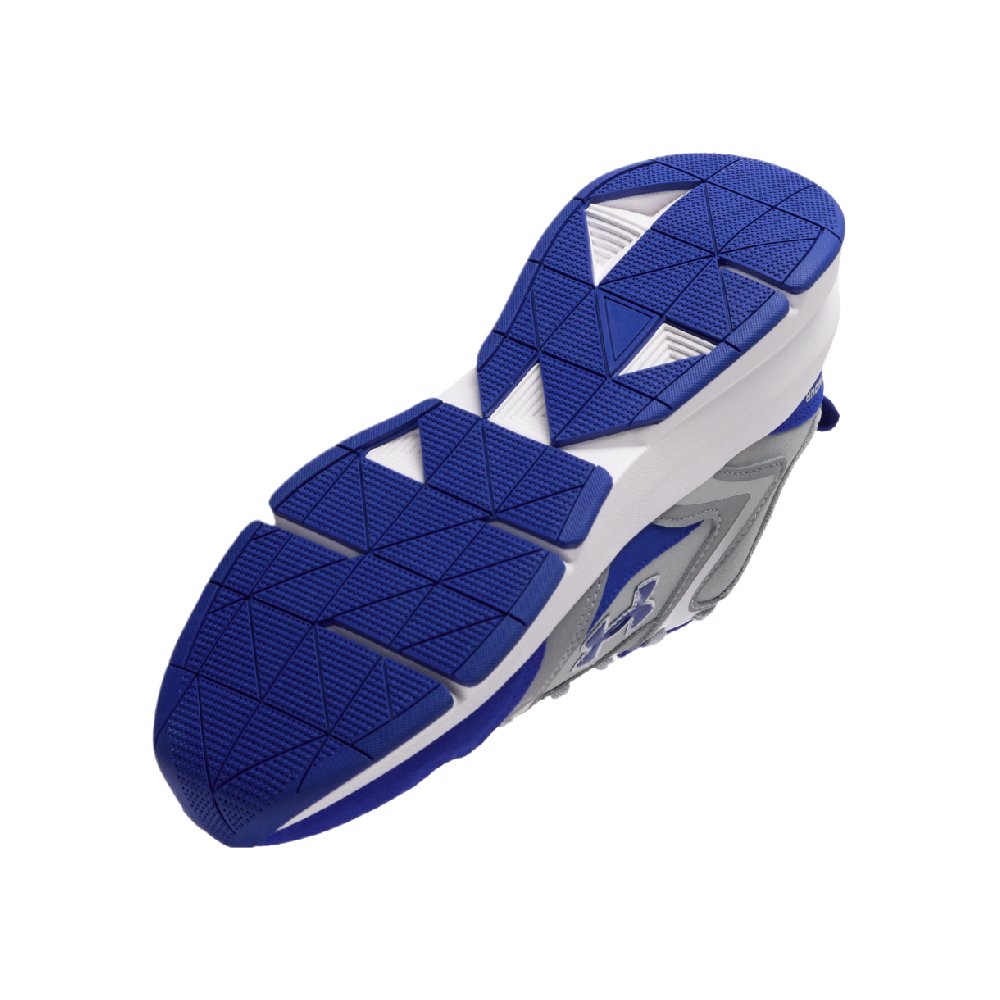 Under Armour Low Top Casual Shoes Unisex Gray
