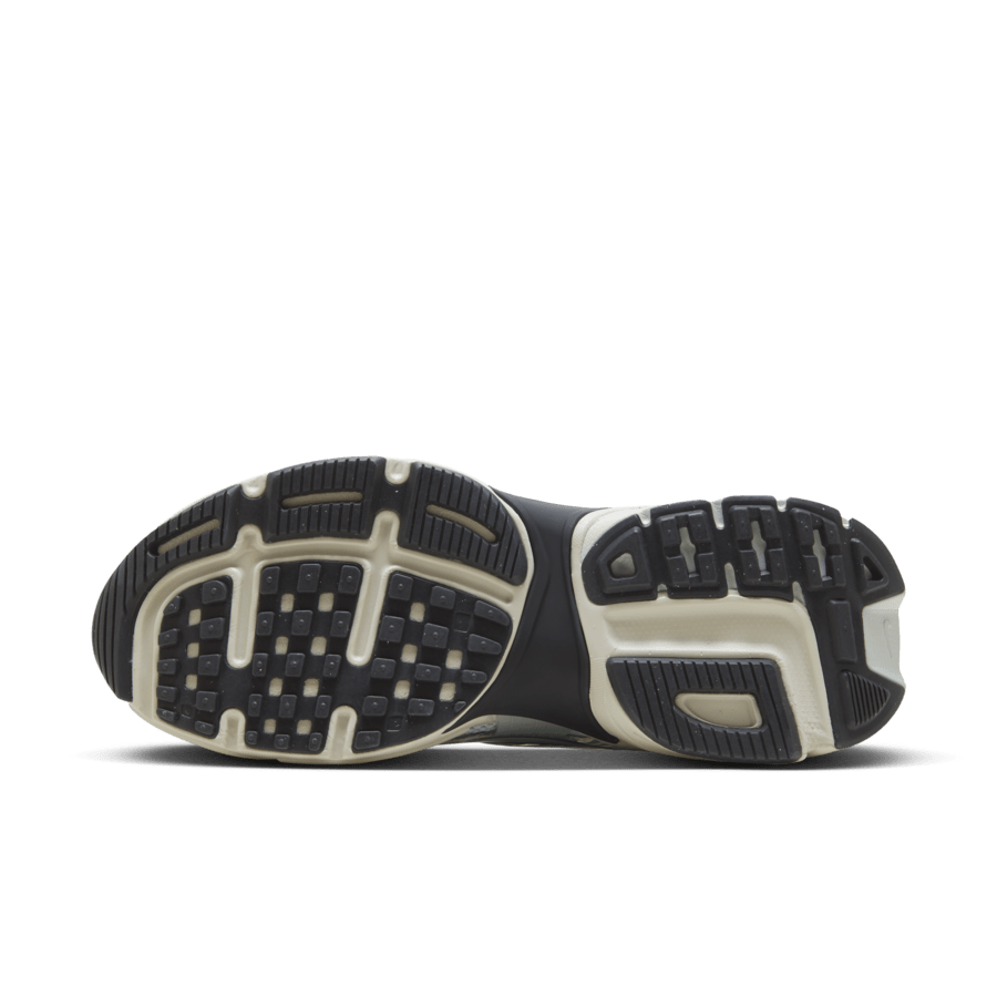 Nike V2K Run Light Pumic Black Chrome Women's купить в интернет-магазине Yoocart с быстрой доставкой по России.