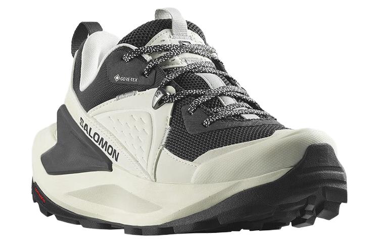 SALOMON Women's Elixir GORE TEX 'Vanilla Ice Metal' Women's