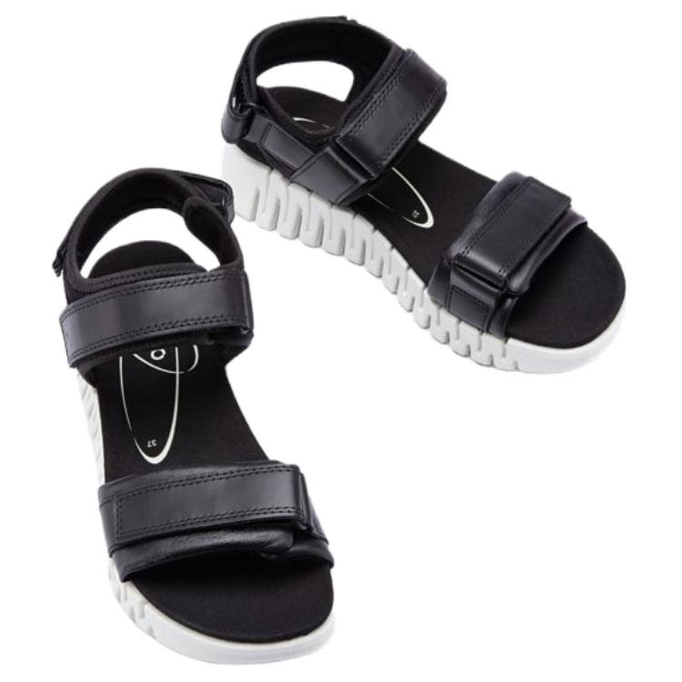 Ecco Smart Series Beach Sandals Women's Black