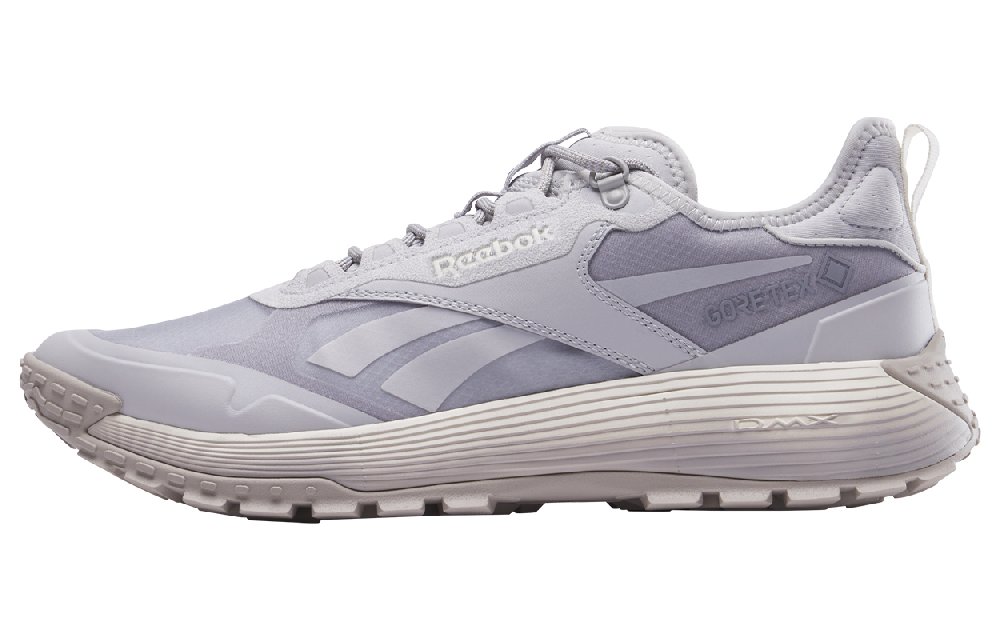 Reebok Dmx Trail GORE TEX 'Grey Stone Chalk'
