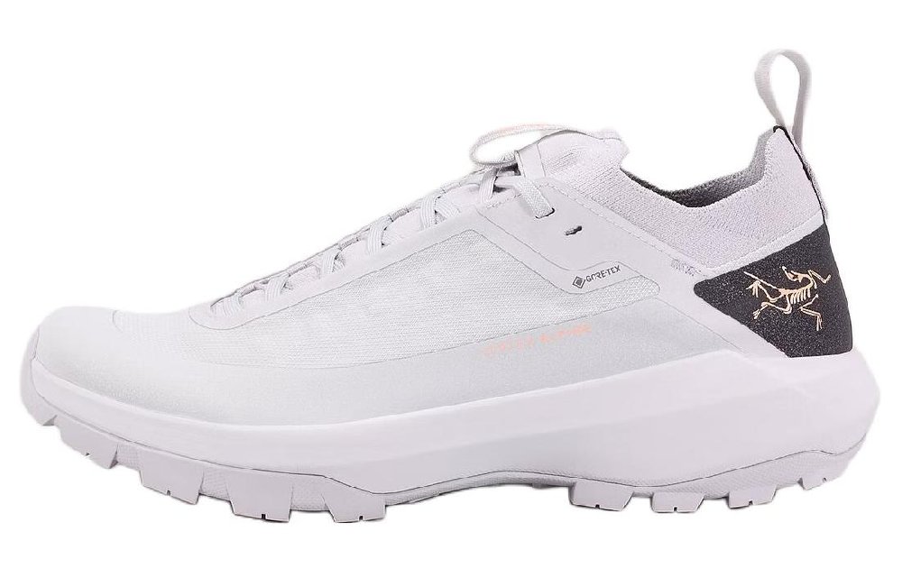 Arcteryx Vertex GTX Wear-Resistant Low-Top Hiking/Trekking Shoes Men's Gray
