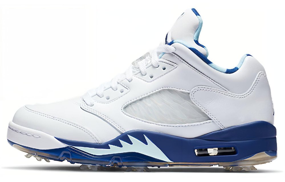 JORDAN 5 Retro Low Golf Grape Ice