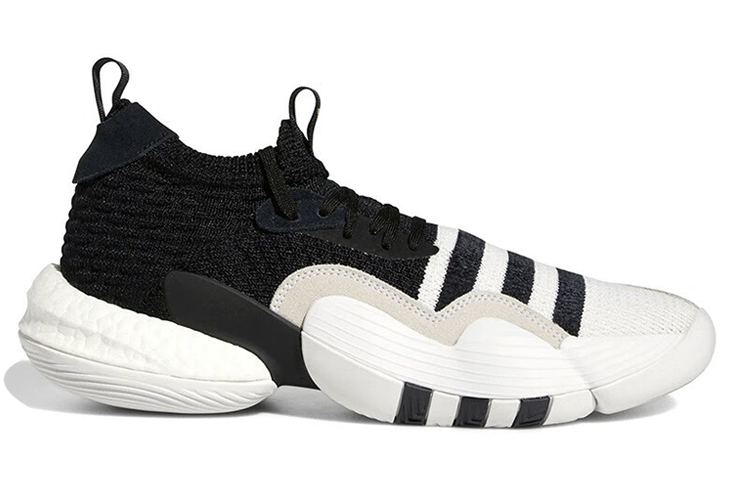 Adidas Trae Young 2.0 Basketball Shoes 'Cloud White / Core Black' купить в интернет-магазине Yoocart с быстрой доставкой по России.