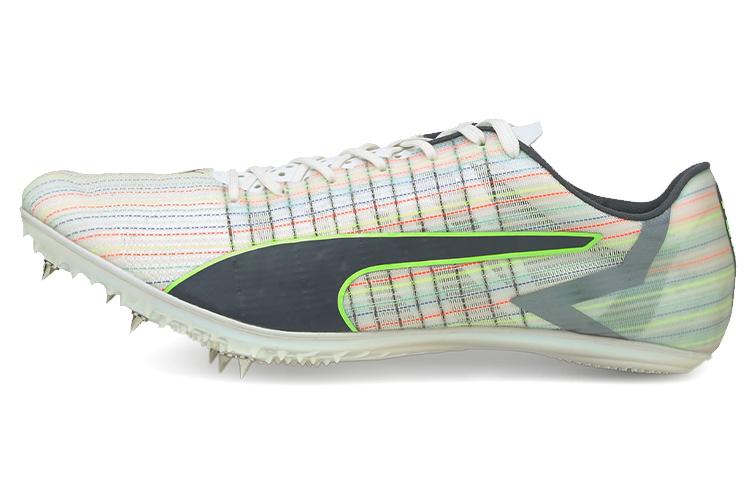 PUMA Evo Speed Tokyo Brush Sp