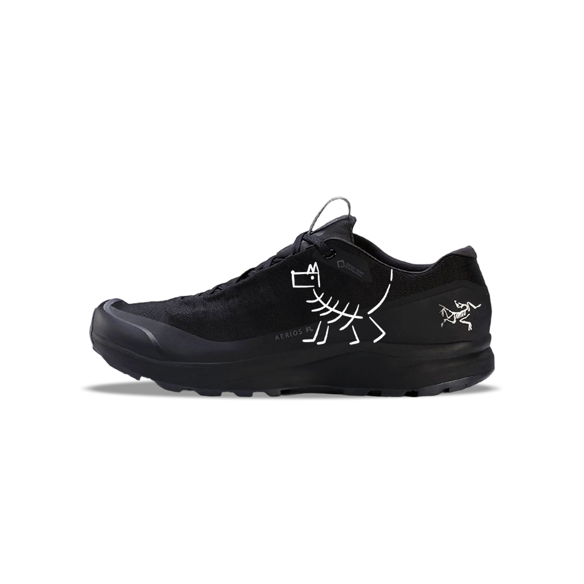 Arcteryx AERIOS FL GTX Low top Casual Trail Running Training For Urban Commutes Running Shoes Men's Black