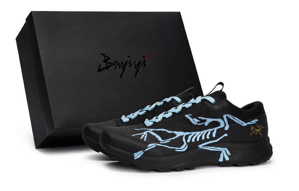 Arcteryx Aerios Fl 2 Slip Resistant, Abrasion Resistant, Breathable Low Top Outdoor Shoes Unisex Black Blue