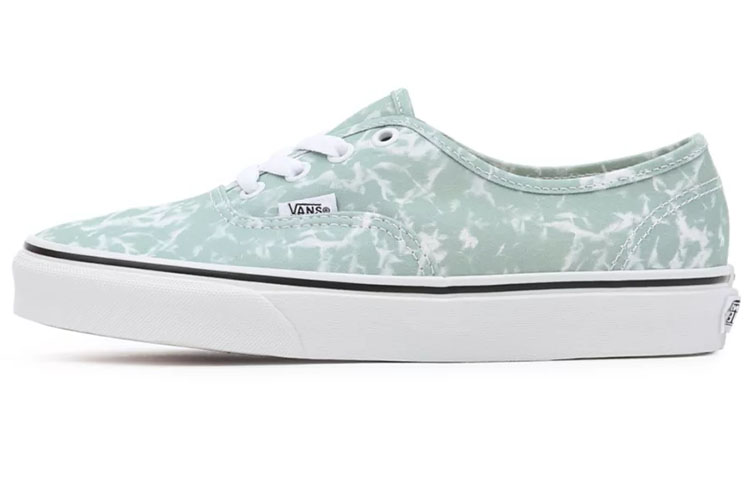 Vans Washes Authentic Low Top Sneakers Green
