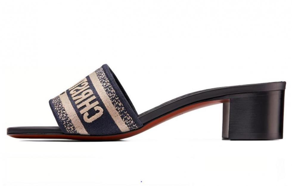 DIOR Dway Slide Slippers Blue Black Women's