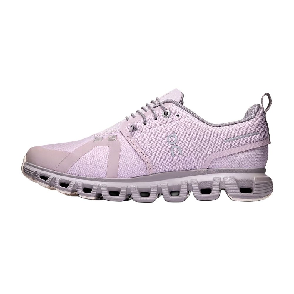 On Running Cloud 6 Waterproof Mauve Zinc Women's