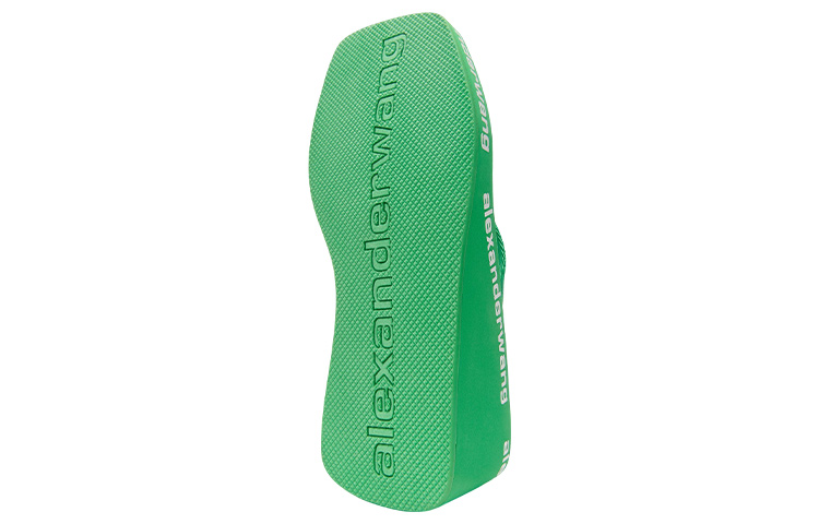 Alexander Wang Flip Flops Women's Green