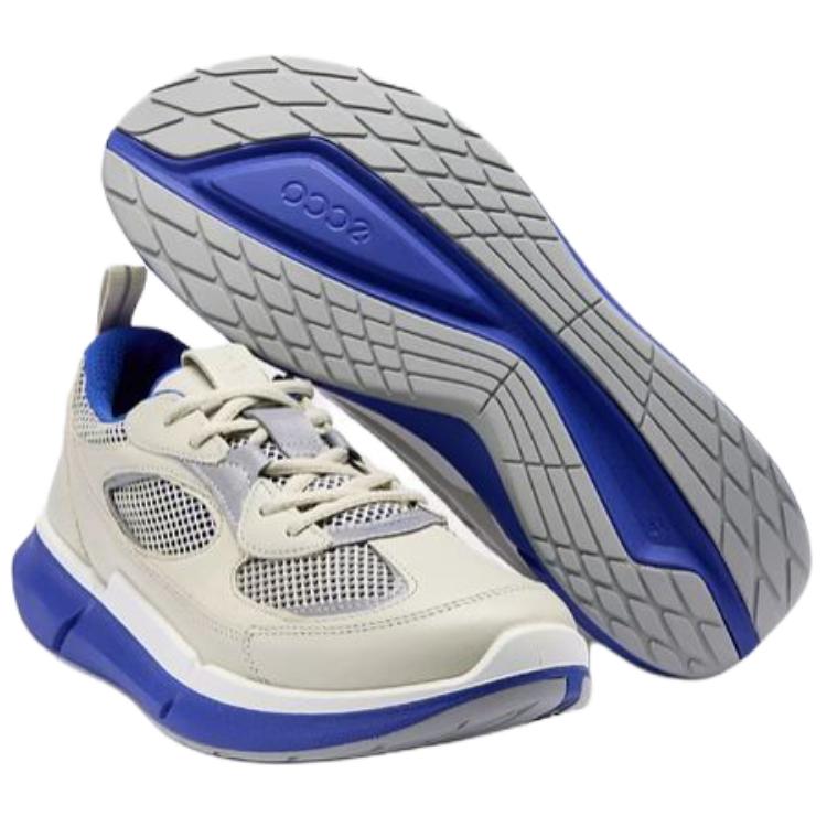 Ecco Biom 2.2 Abrasion Resistant Low Top Running Shoes Men's Gray Blue
