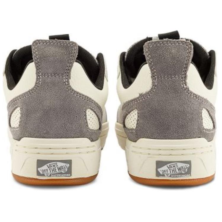 Vans Skate Mixxa Frost Grey