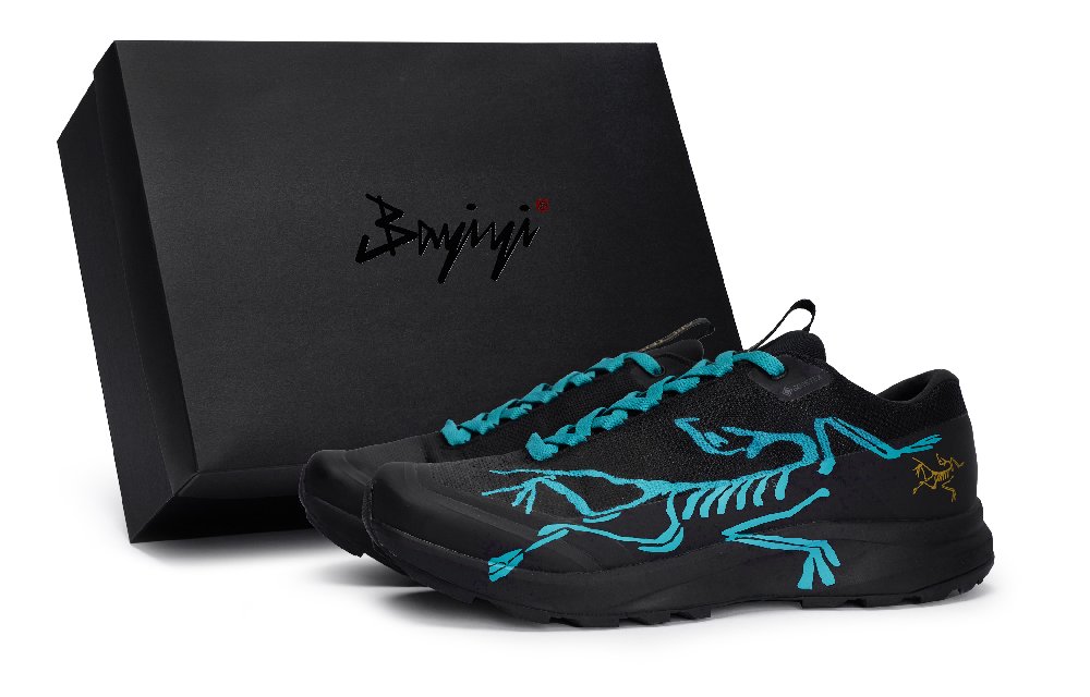Arcteryx Aerios Fl 2 Slip Resistant, Abrasion Resistant, Breathable Low Top Outdoor Shoes Unisex Black Lake Blue