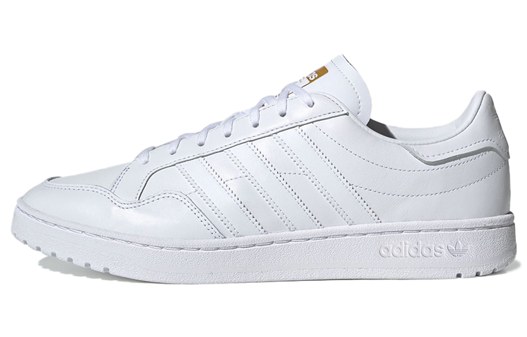 Adidas Team Court Cloud White