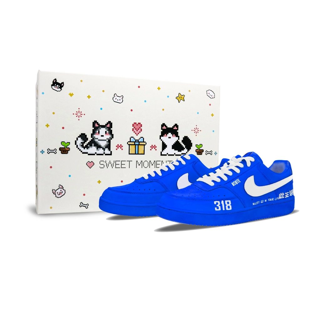 Nike Court Vision 1 Skateboard Shoes Men's Low top Blue/White