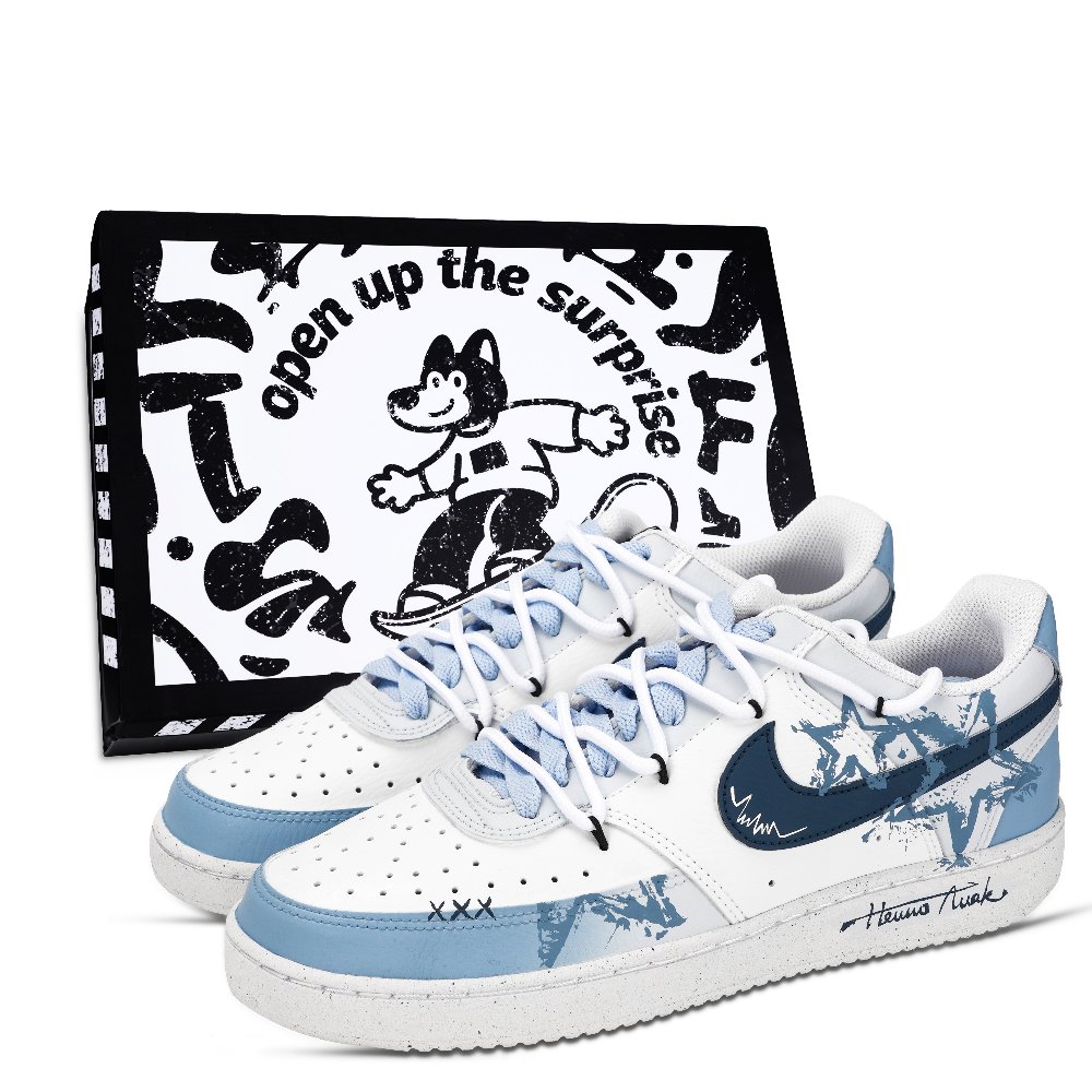 Nike Court Vision 1 Distressed Stars Abrasion Resistant Low Top Skateboard Shoes Men's Blue White
