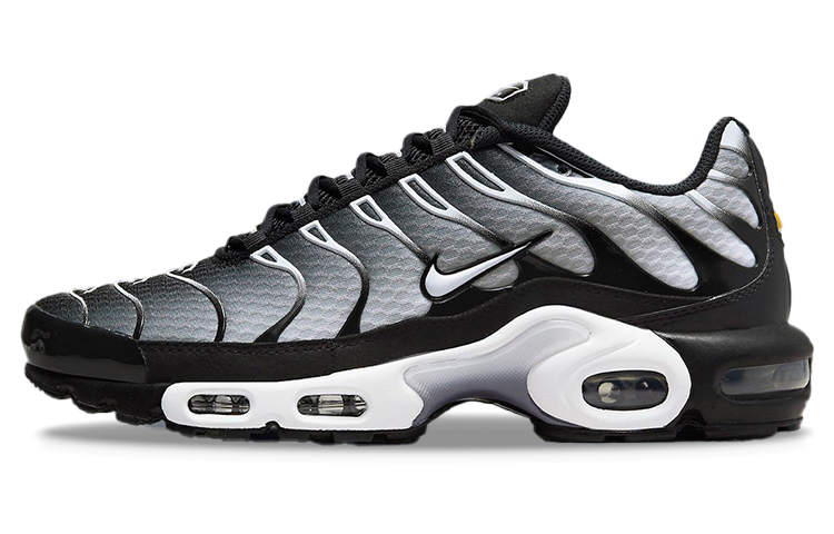 Nike Air Max Plus Black Silver White