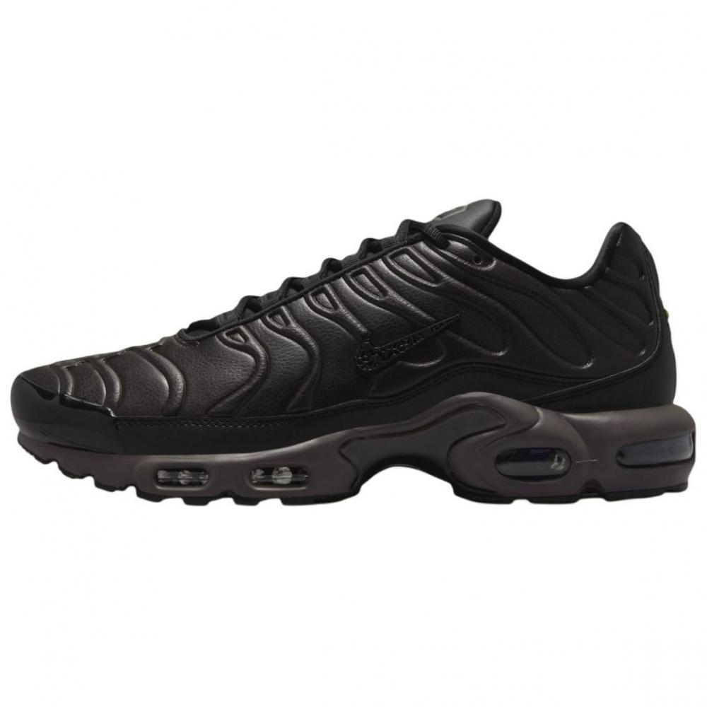 Nike Air Max Plus Premium Paris