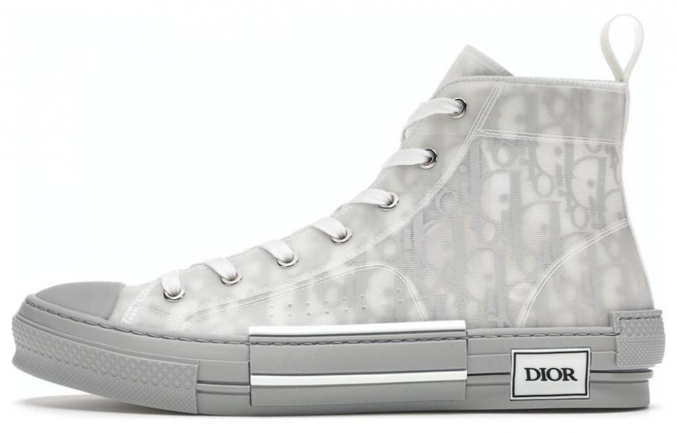 DIOR B23 High Grey Oblique