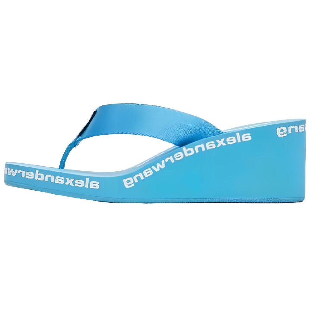 Alexander Wang Flip Flops Women's