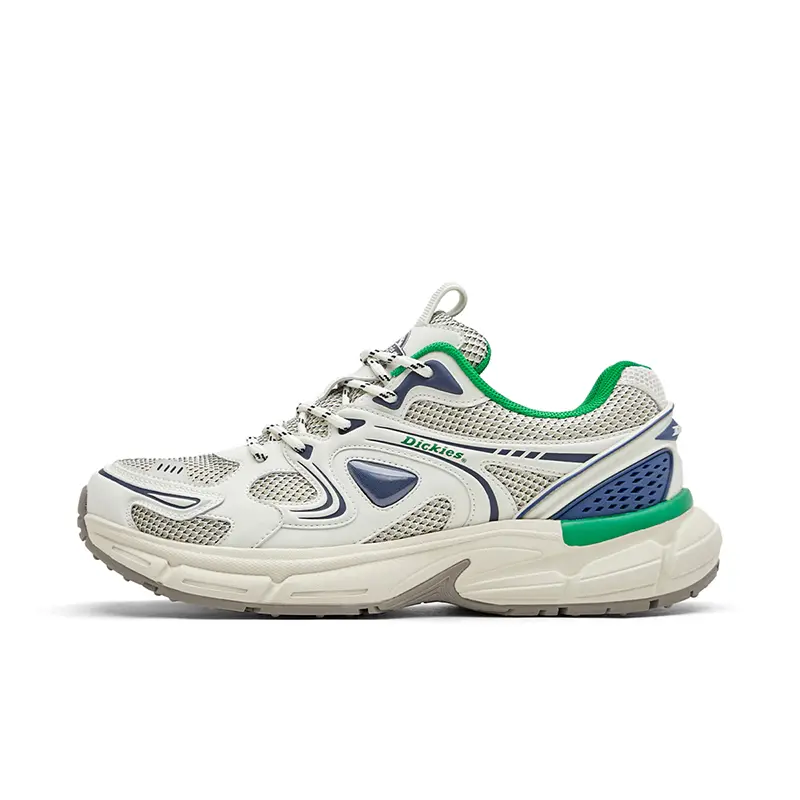 Dickies Chunky Sneakers Men's Low top White Green Blue