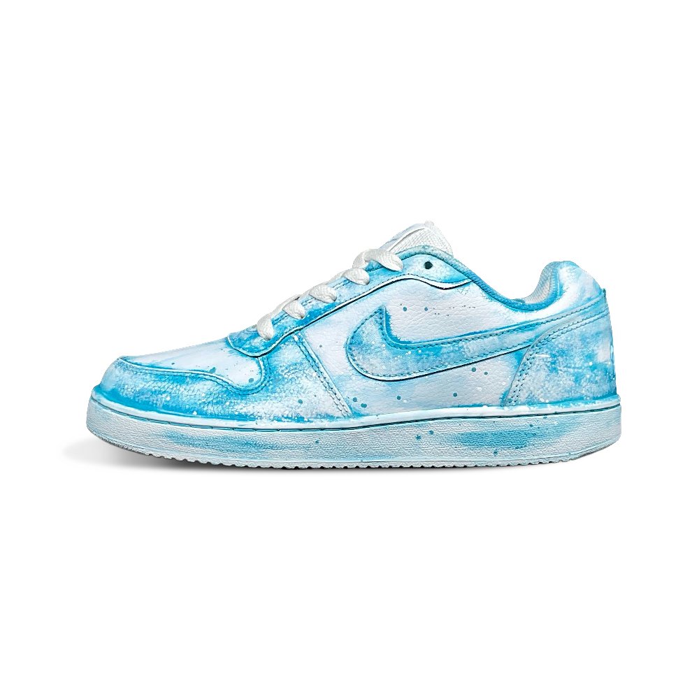 Nike EBERNON Skateboard Shoes Men Low Top White/Blue