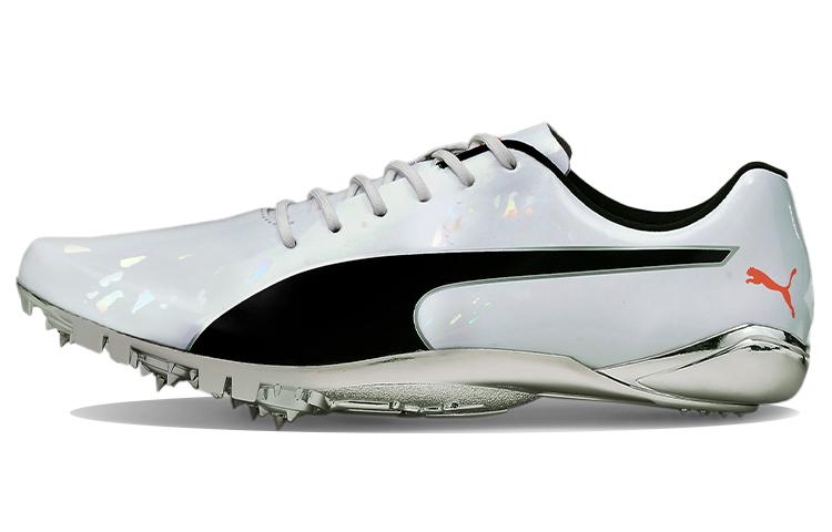PUMA EvoSPEED Electric 10 'Grey'