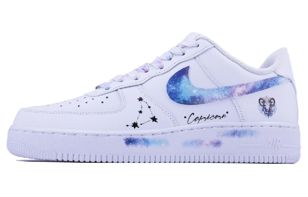 Nike Air Force 1 Capricorn SDS Low Top Skateboard Shoes GS White
