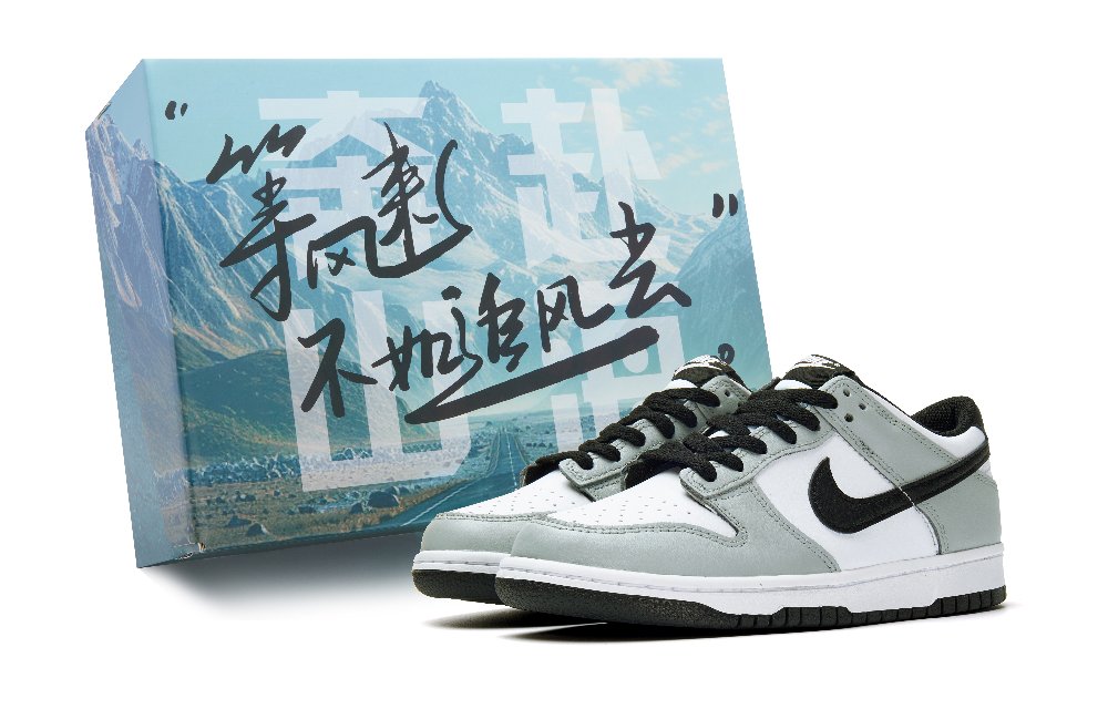 Nike Dunk Abrasion Resistant Low Top Skateboard Shoes Unisex Gray Black