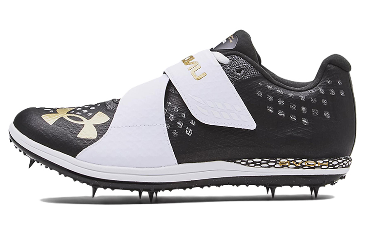 Under Armour Hovr Skyline Low Top Black