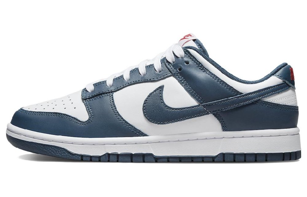 Nike Dunk Low Valerian Blue