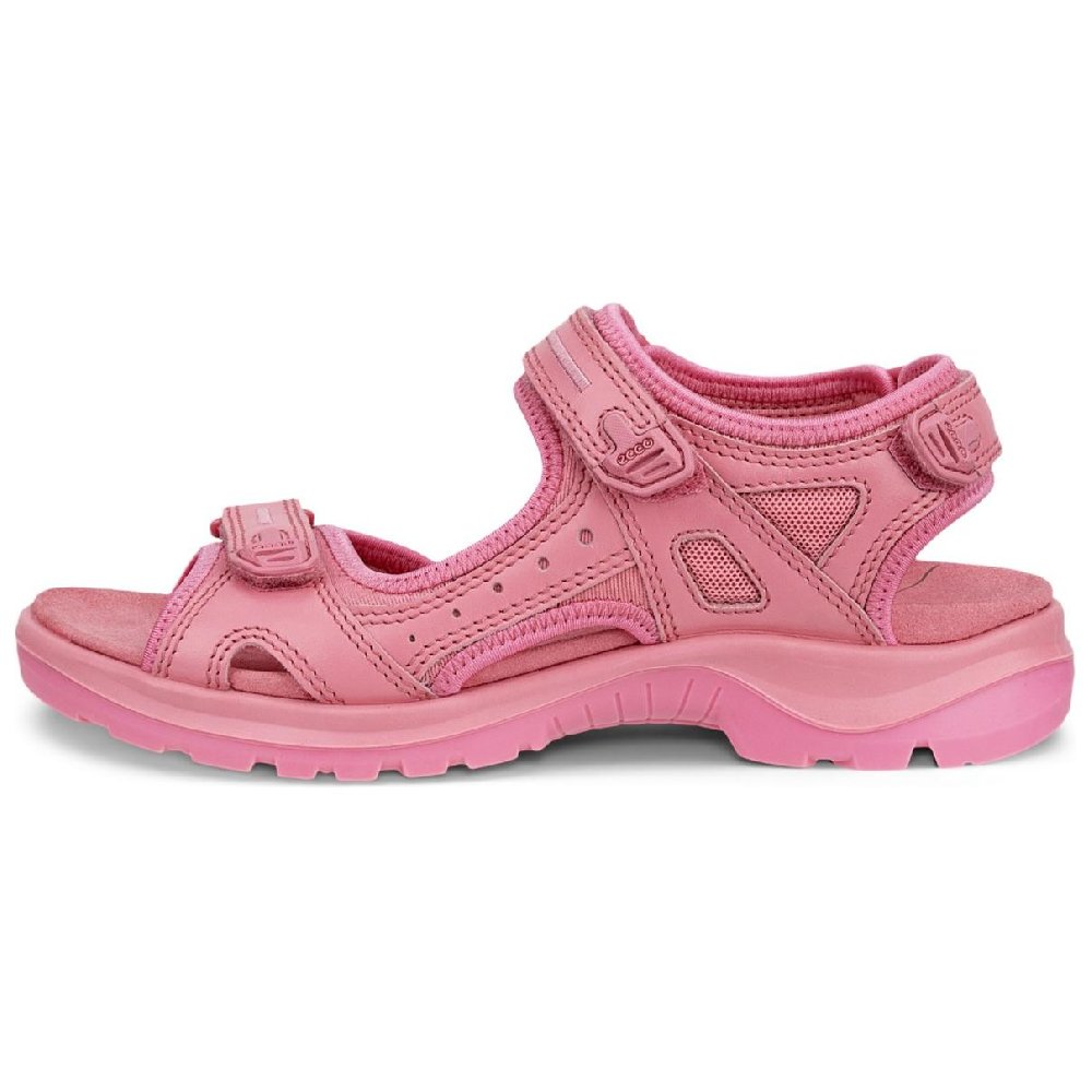 Ecco Beach Sandals Women's Pink