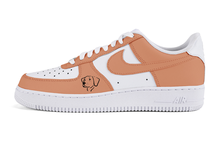 Nike Air Force 1 Skateboard Shoes Men Low-Top Orange