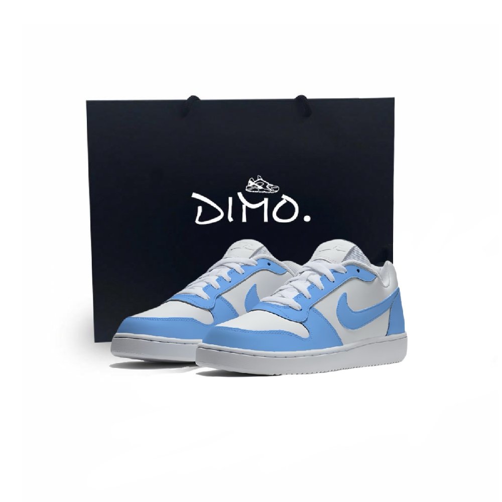 Nike EBERNON Dianmo, Glacier Coverage Abrasion Resistant Low Top Skateboard Shoes Unisex White Blue
