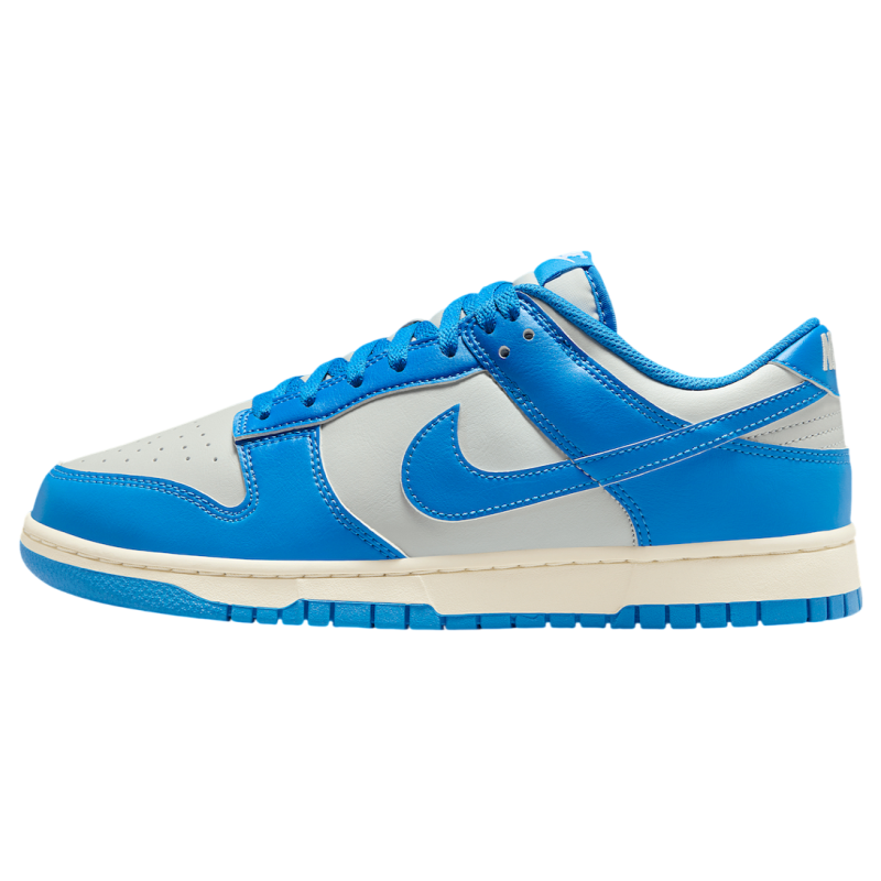 Nike Dunk Low Detroit Lions