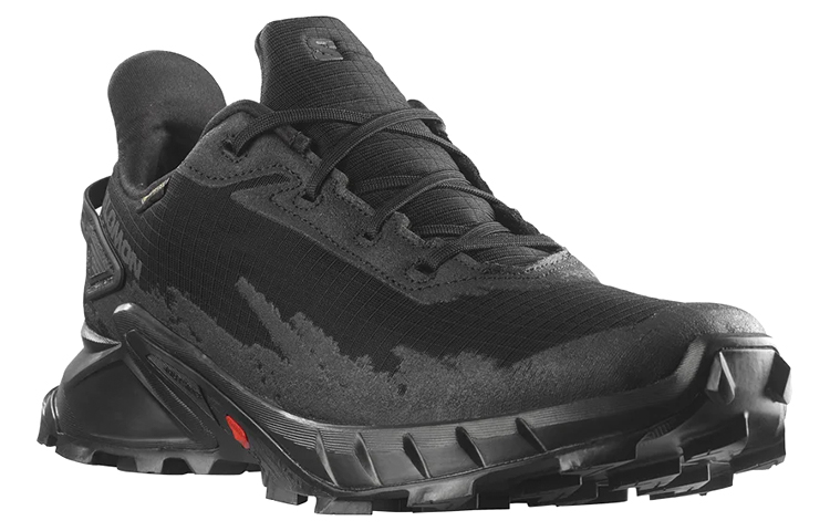 SALOMON Alphacross 4 GORE-TEX 'Black'